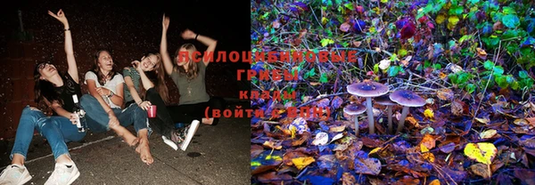 герыч Вязьма