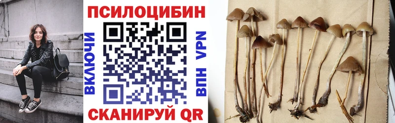 OMG   Меленки  Псилоцибиновые грибы ЛСД 